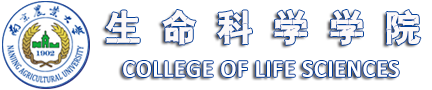 必赢亚州bwin官网